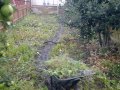 Tidying and Turfing Tidying and Turfing