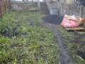 Tidying and Turfing Tidying and Turfing