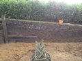 retaining-sleeper-wall-3 retaining-sleeper-wall-3